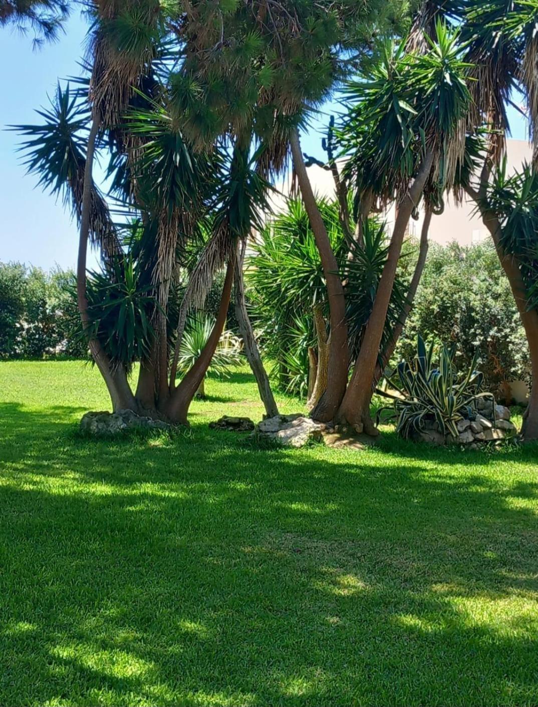 Blu Vacanze Residence Favignana Dış mekan fotoğraf